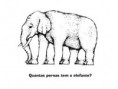 /album/imagens/elefante-jpg3/